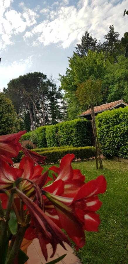 Вилла La Casa Di Gigliola Монтичиано Экстерьер фото