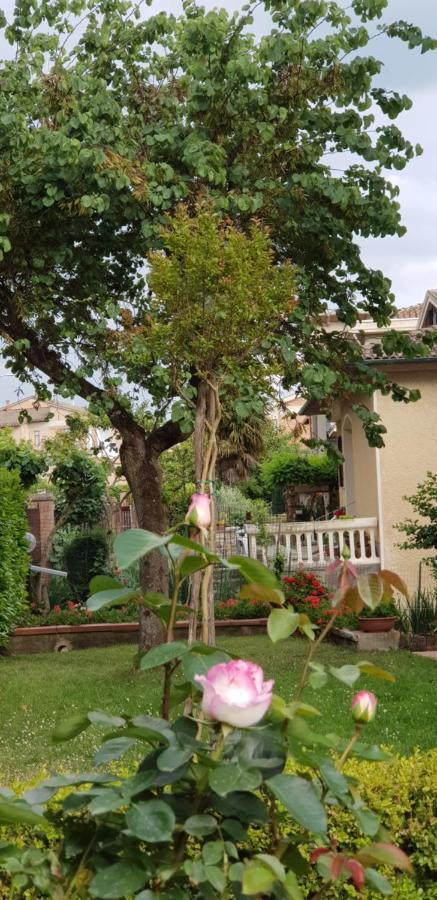 Вилла La Casa Di Gigliola Монтичиано Экстерьер фото