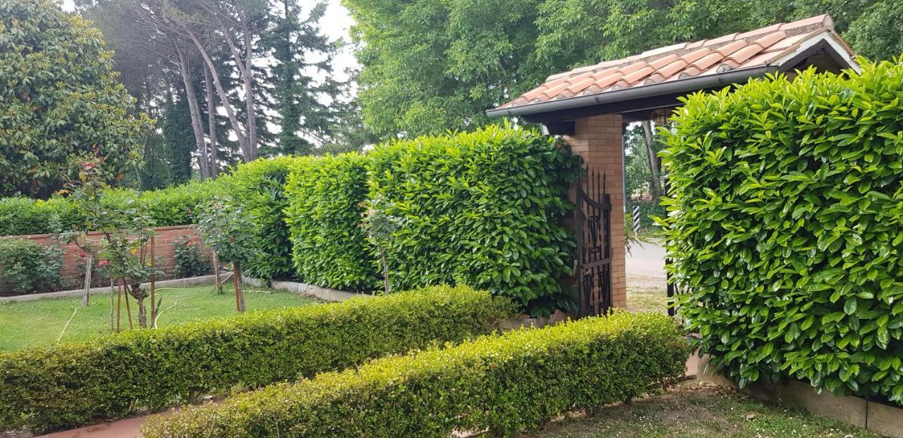 Вилла La Casa Di Gigliola Монтичиано Экстерьер фото
